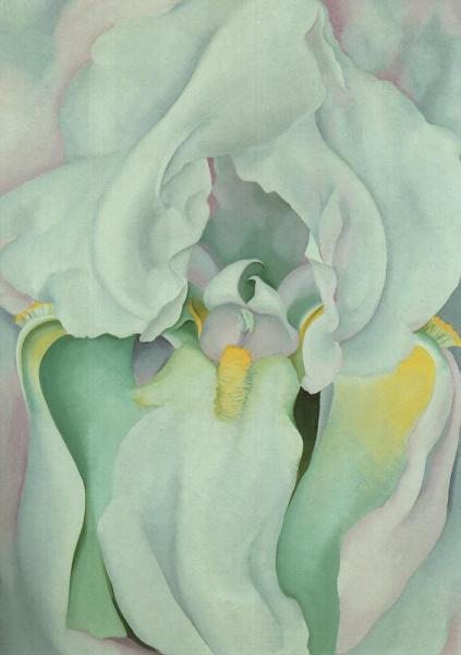 Light Iris by Georgia O'keeffe
