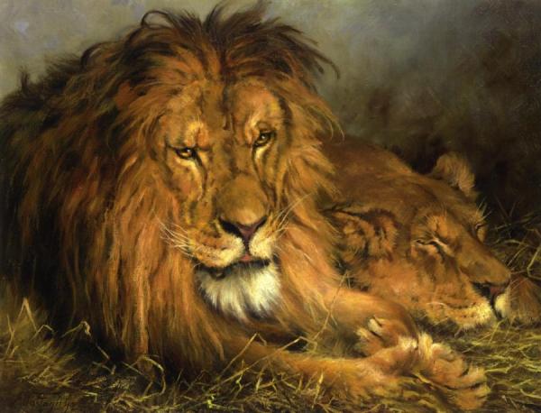 A Lion And Lioness by Geza Vastagh