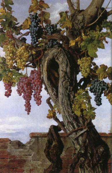 Grapevine With A Lizard by Giorgio Lucchesi Oil Painting Reproductions