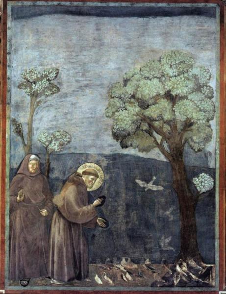 Legend Of St Francis: 15. Sermon To The Birds (upper Church, San Francesco, Assisi) by Giotto Di Bondone