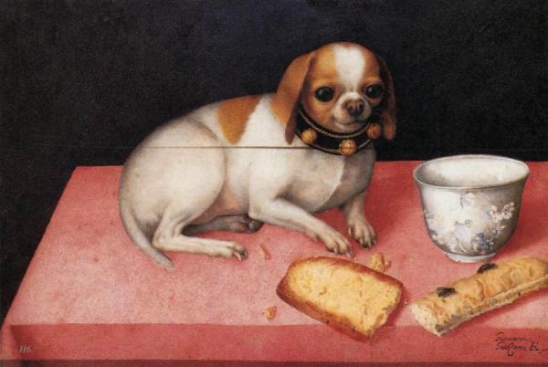 Giovanna Garzonni Nature Morte Au Petit Chien