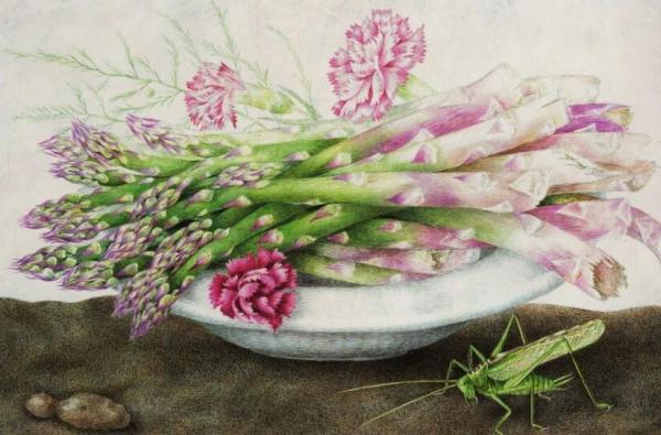Giovanna Garzonni Plate Of Asparagus With Carnations And A Grasshopper
