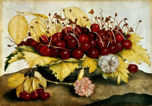 Giovanna Garzonni Still-life With Cherries