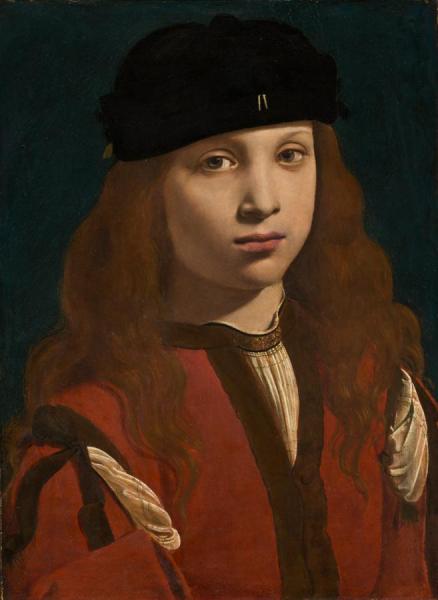 Portrait Of A Youth by Giovanni Antonio Boltraffio