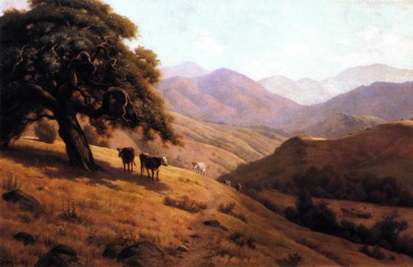 Gordon Coutts Golden Harvest