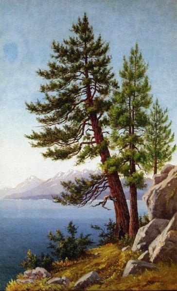 Pines, Lake Tahoe by Grafton T. Brown
