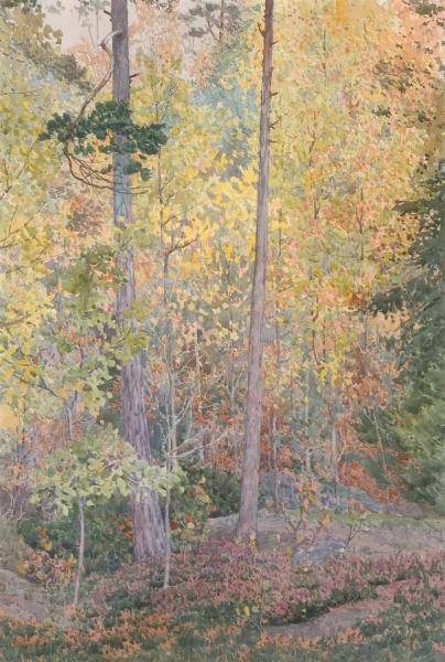 Among The Aspens, 1915 by Gunnar Widforss