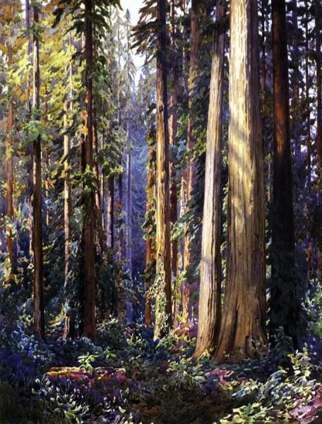 Redwoods by Gunnar Widforss