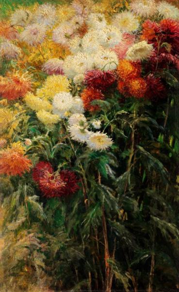 Chrysanthemums, Garden At Petit Gennevilliers by Gustave Caillebotte