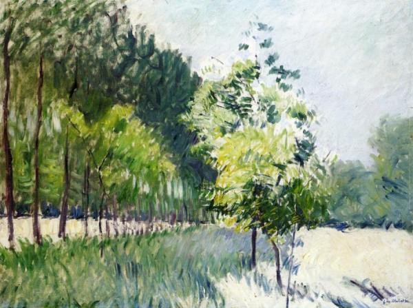 Lane Bordered By Trees by Gustave Caillebotte