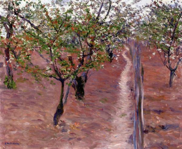 Orchard, Trees In Flower, Petit Gennevilliers by Gustave Caillebotte