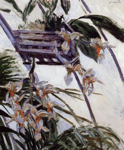 Orchids by Gustave Caillebotte