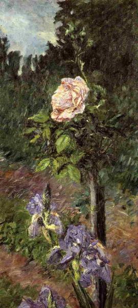 Gustave Caillebotte Rose With Purple Iris, Garden At Petit Gennevilliers