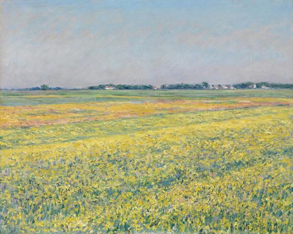 The Plain Of Gennevilliers,yellow Fields by Gustave Caillebotte