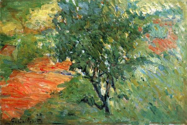 Gustave Caillebotte Tree By A Trail