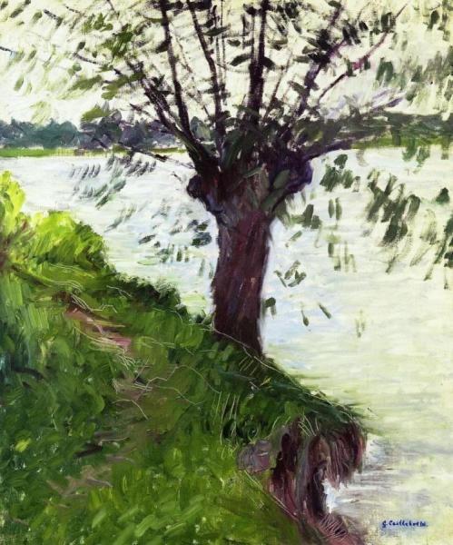 Willow On The Banks Of The Seine by Gustave Caillebotte