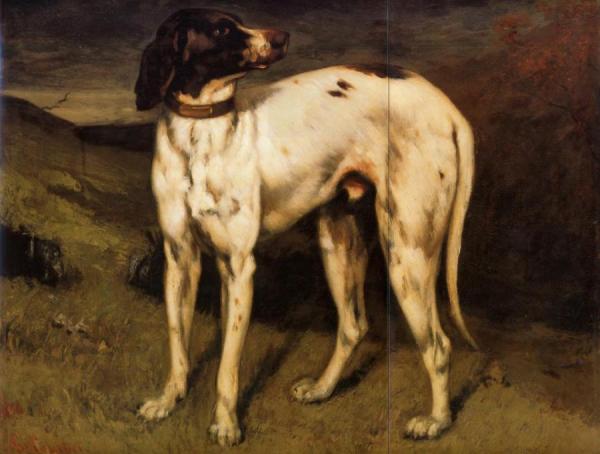 A Dog From Ornans by Gustave Courbet