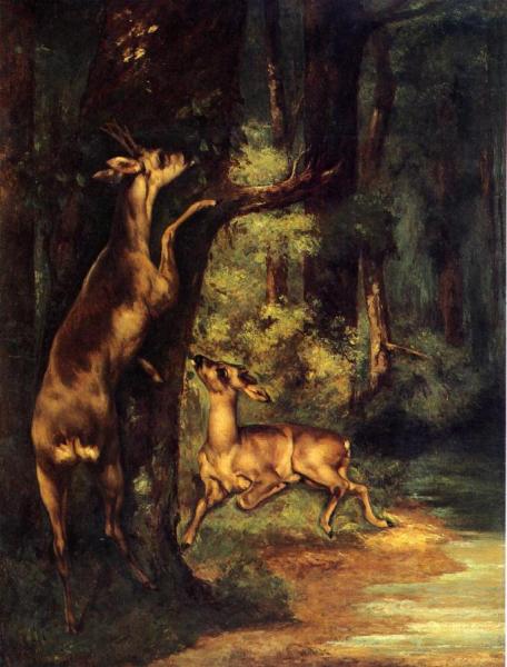 Male And Female Deer In The Woods by Gustave Courbet