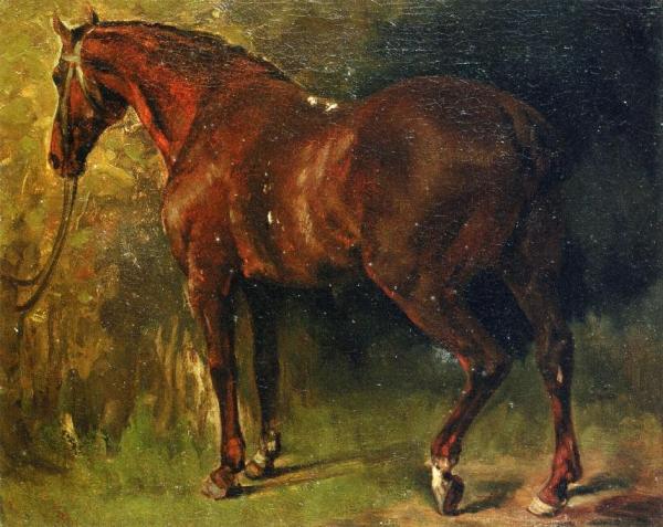 The English Horse Of M. Duval by Gustave Courbet