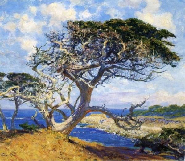 Monterey Cypress by Guy Orlando Rose