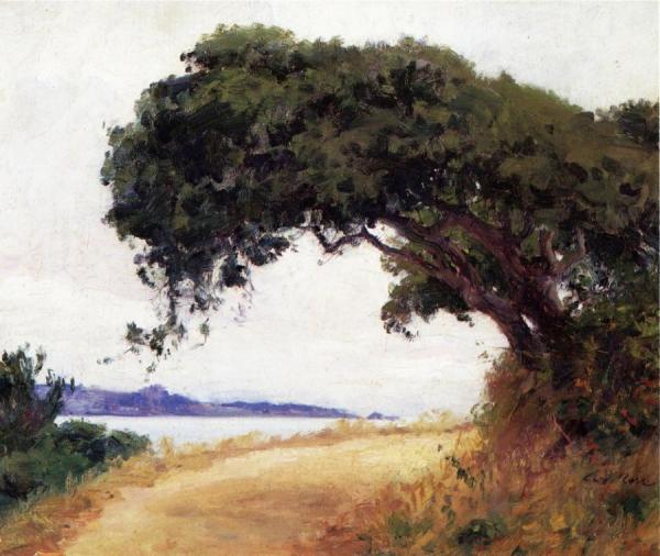 Guy Orlando Rose Point Lobos, Oak Tree