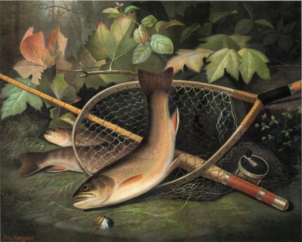 Trout by Hal Alexander Courtney Morrison