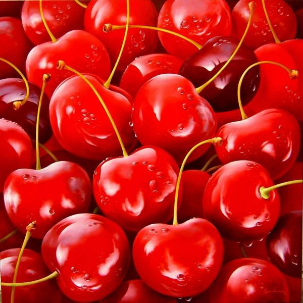 Cherries by Heinz Schölnhammer Oil Painting Reproductions