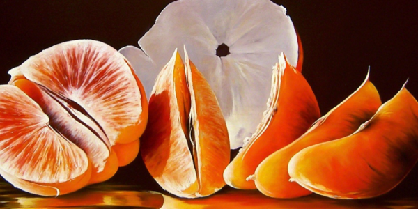 Oranges by Heinz Schölnhammer Oil Painting Reproductions
