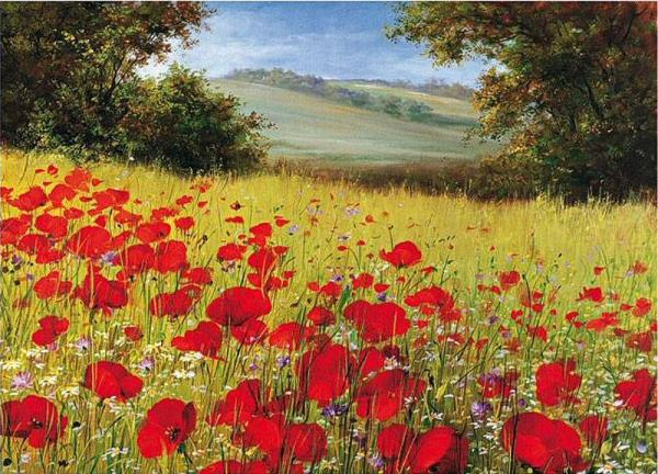 Sparkling Field by Heinz Schölnhammer