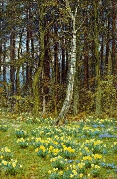 Helen Allingham The Daffodil Wood