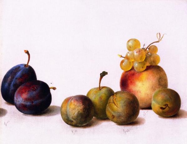 Still Life, Plums, Peach And Grapes by Helen Searle Pattison