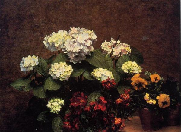 Hydrangias, Cloves And Two Pots Of Pansies by Henri Fantin-latour