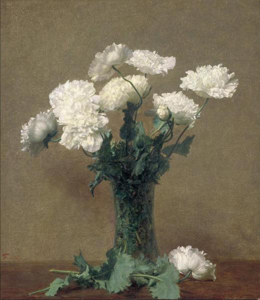 Poppies by Henri Fantin-latour
