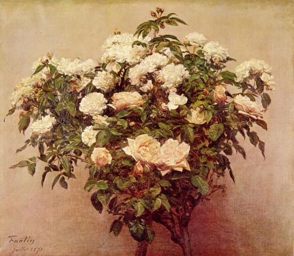 Rose Trees - White Roses by Henri Fantin-latour