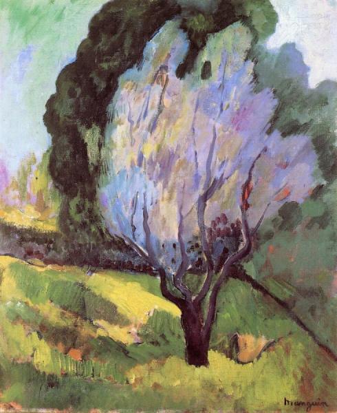 Saint-tropez, A Flowering Tree by Henri Manguin Oil Painting Reproductions
