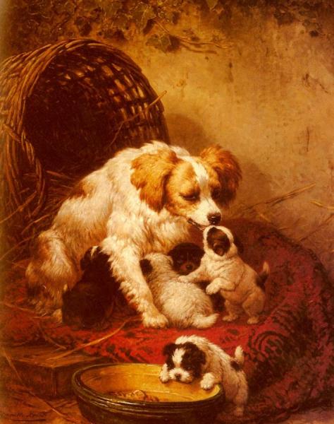 The Happy Litter by Henriette Ronner-knip