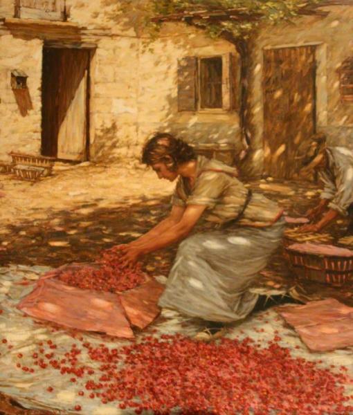 Packing Cherries In Provence, France by Henry Herbert La Thangue