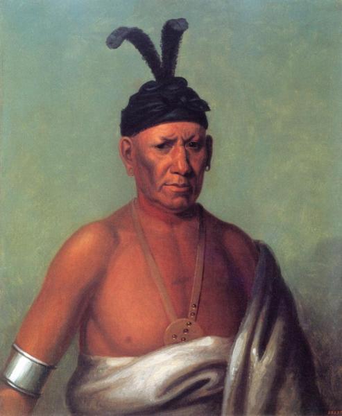 Crouching Eagle (after A Work By Charles Bird King) by Henry Inman