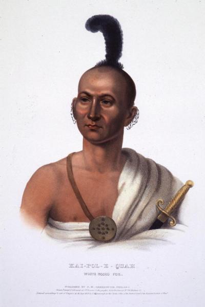 Portrait Of Kai-pol-e-quah by Henry Inman