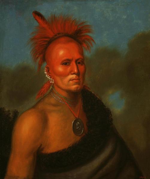 Portrait Of Shar-i-tar-ish by Henry Inman Oil Painting Reproductions
