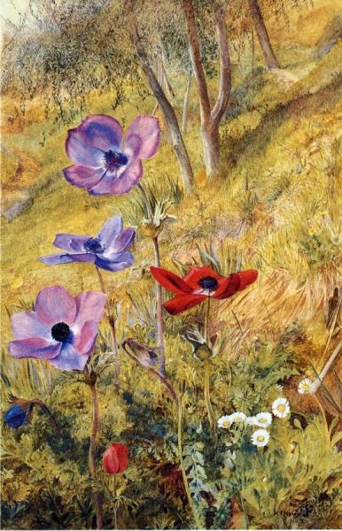 Anemones by Henry Roderick Newman