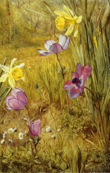 Anemones And Daffodils by Henry Roderick Newman