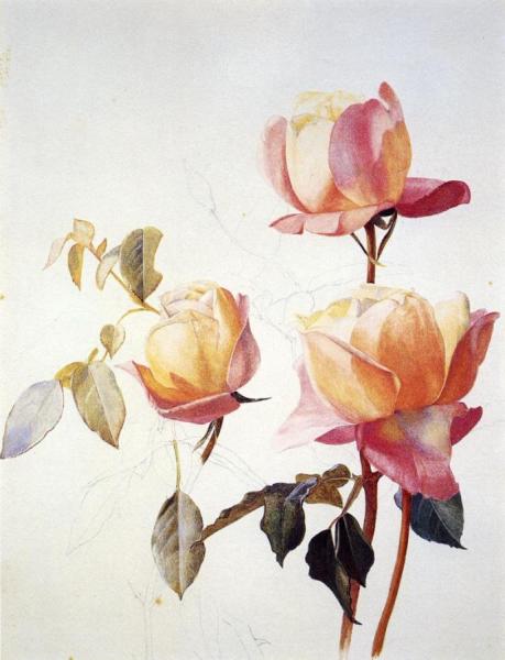 Florentine Roses by Henry Roderick Newman