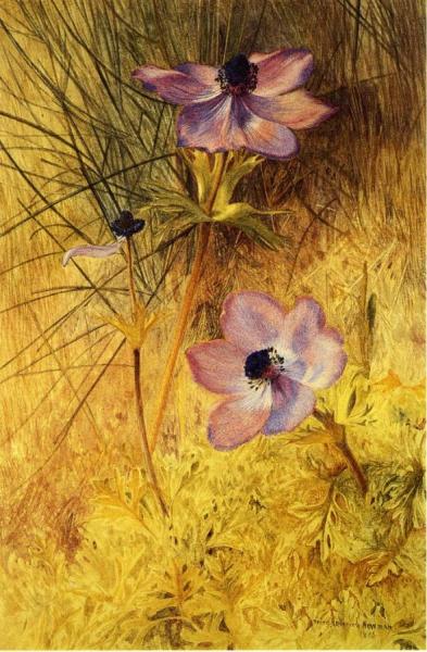 Florentine Wild Anemones by Henry Roderick Newman