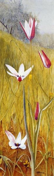 Flowers In A Landscape by Henry Roderick Newman