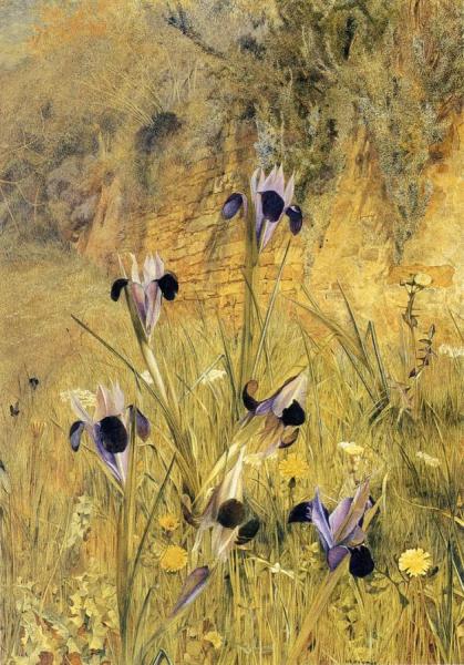 Irises In The Garden by Henry Roderick Newman