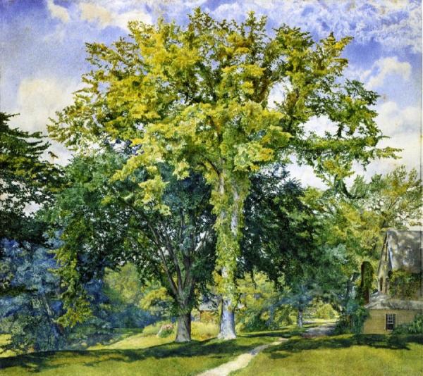 Henry Roderick Newman Study Of Elms