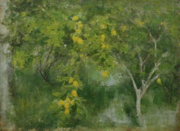A Corfu Garden (study) by Henry Scott Tuke