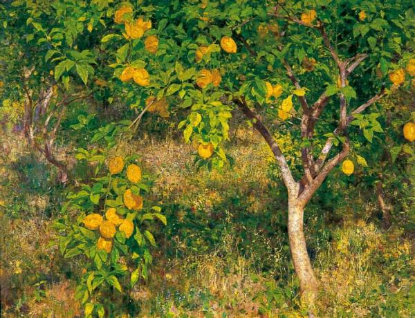 The Lemon Tree by Henry Scott Tuke