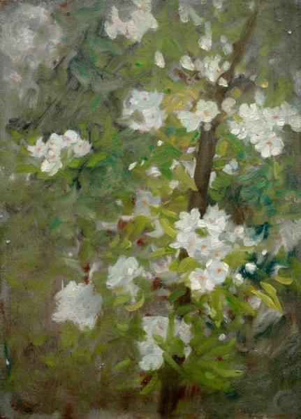 White Blossom by Henry Scott Tuke